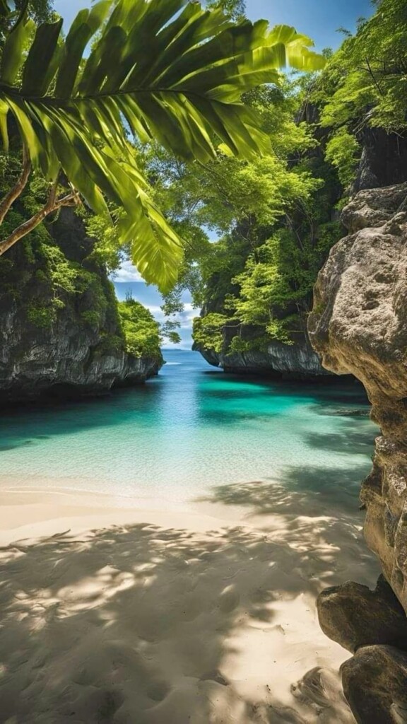 plages exotic