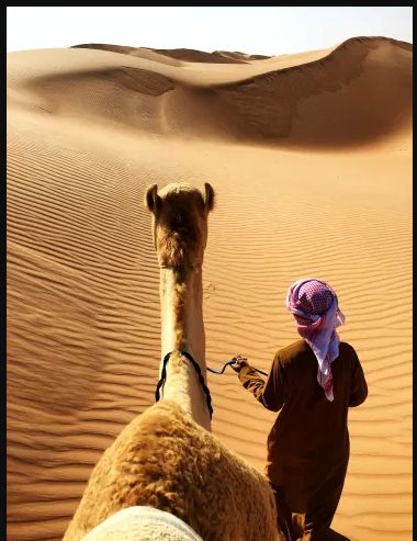 voyage hala